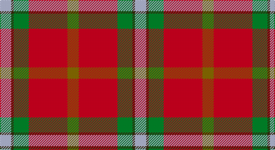 LB/18 DY4 G24 R62 Y/18 tartan