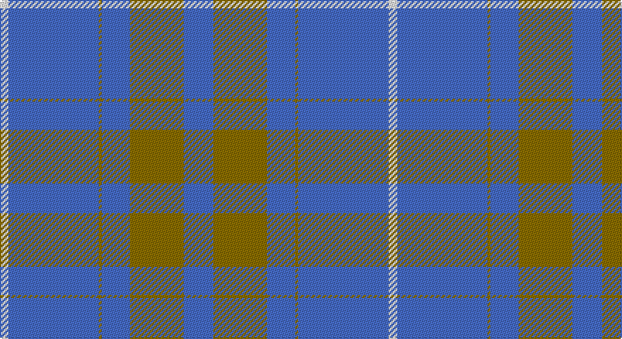 W/6 B64 Y2 B20 Y38 B/21 tartan