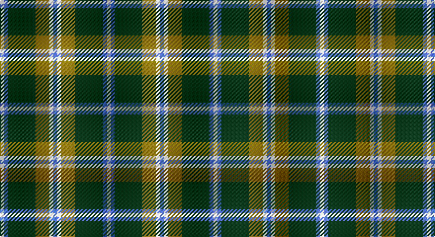 W/4 B4 DG28 Y14 W4 B/4 tartan