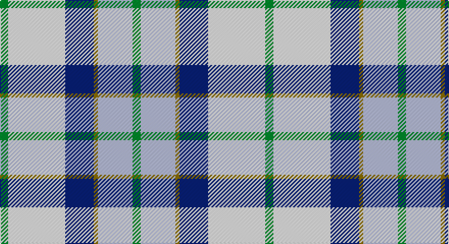 G/8 W56 DB28 Y4 LB34 G/8 tartan