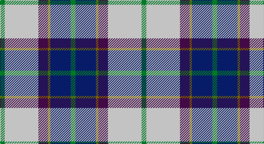 G/8 W56 DP16 Y4 DB34 G/8 tartan