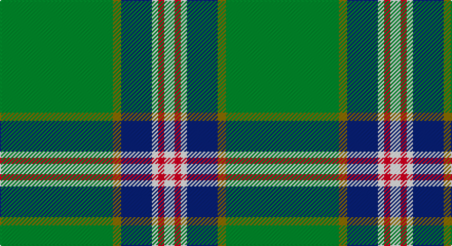 G/110 Y8 DB30 W6 R6 W/10 tartan