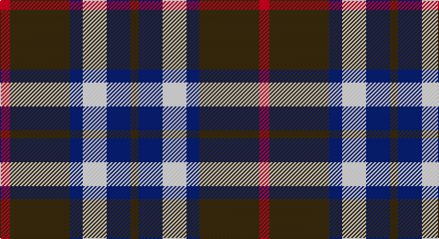 R/10 DY60 DB13 W24 DB24 DY/8 tartan