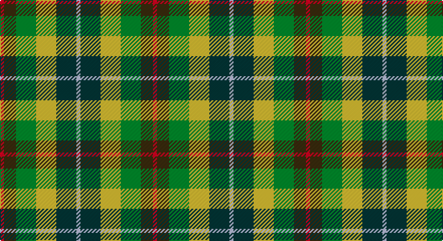 R/4 DY12 G20 LY20 DT20 LB/4 tartan