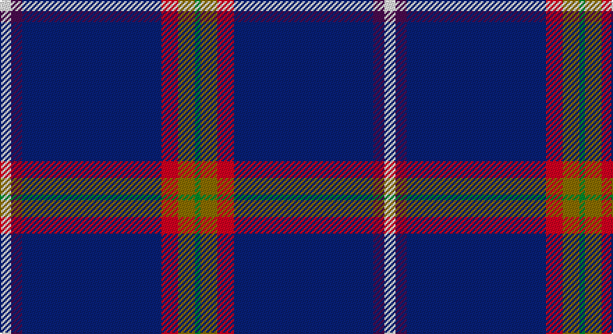 W/8 DP8 DB100 R12 Y12 G/4 tartan
