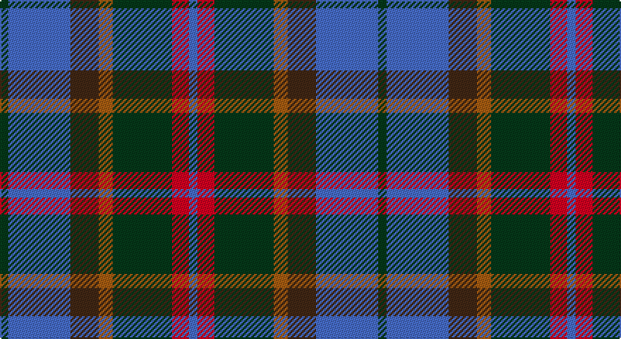 DG/6 B44 DO20 O10 DG42 R12 B/6 tartan