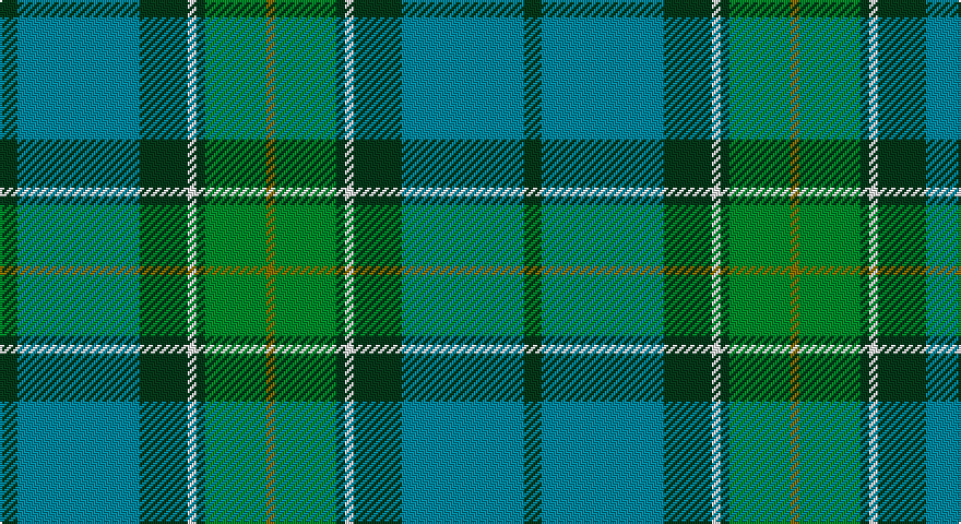 DG/8 T56 DG22 W4 DG4 G28 Y/4 tartan