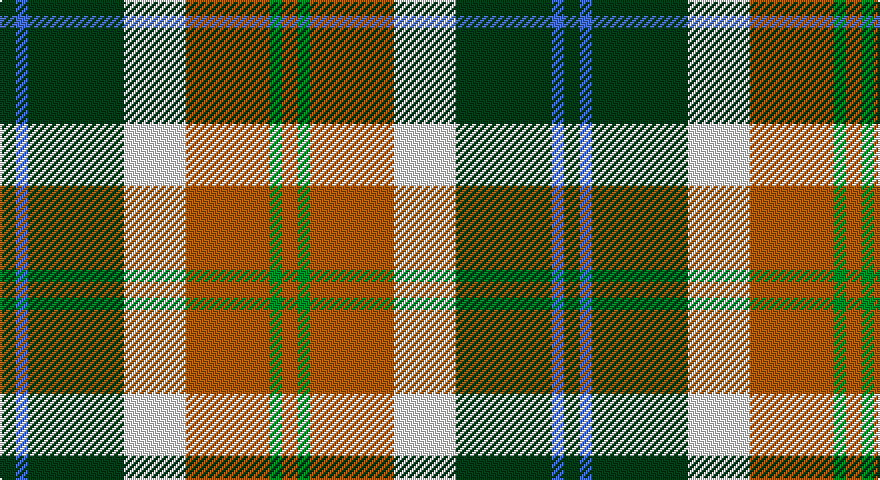DG/8 B6 DG48 W31 O42 G6 O/8 tartan
