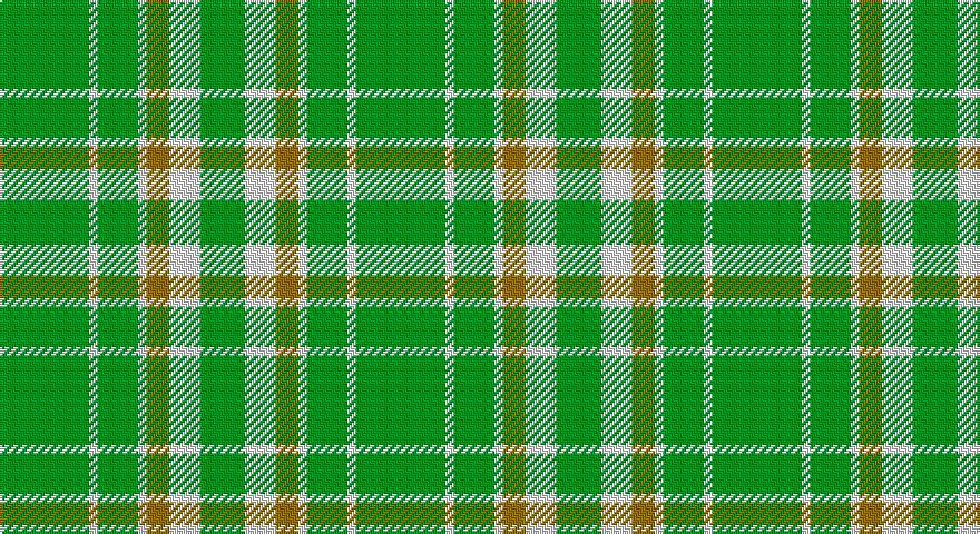G/40 W4 G18 W4 Y10 W14 G/20 tartan