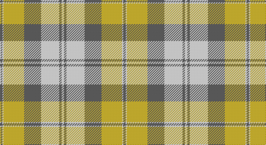 N/4 W2 LY34 N28 W30 N4 W/4 tartan
