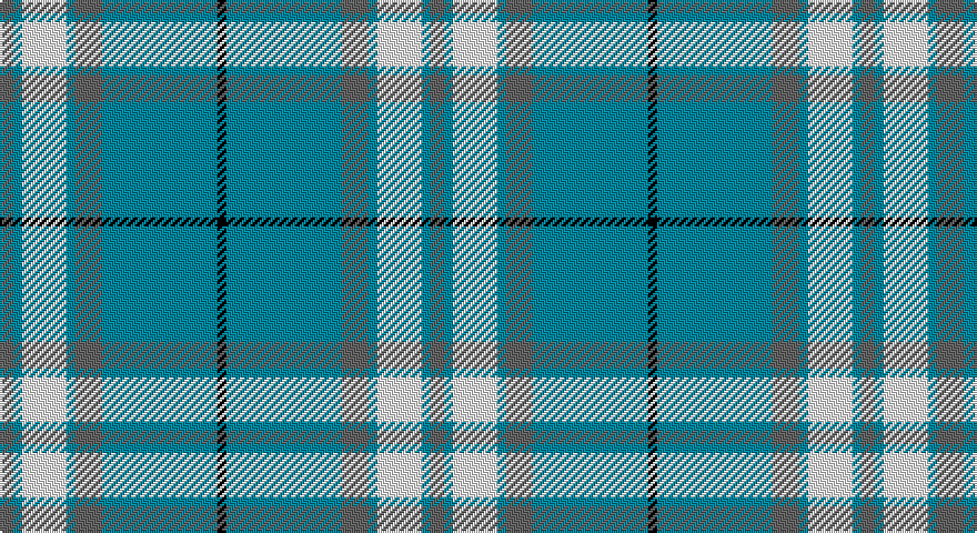 N/6 T4 W20 T4 N12 T52 K/4 tartan
