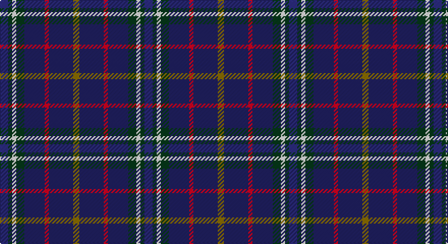 DBi/8 DG4 W4 DG8 DB20 R4 DB24 Y/6 tartan