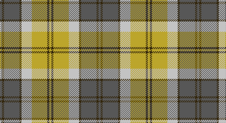 N/4 DY4 N30 DY4 W20 LY30 DY4 LY/4 tartan