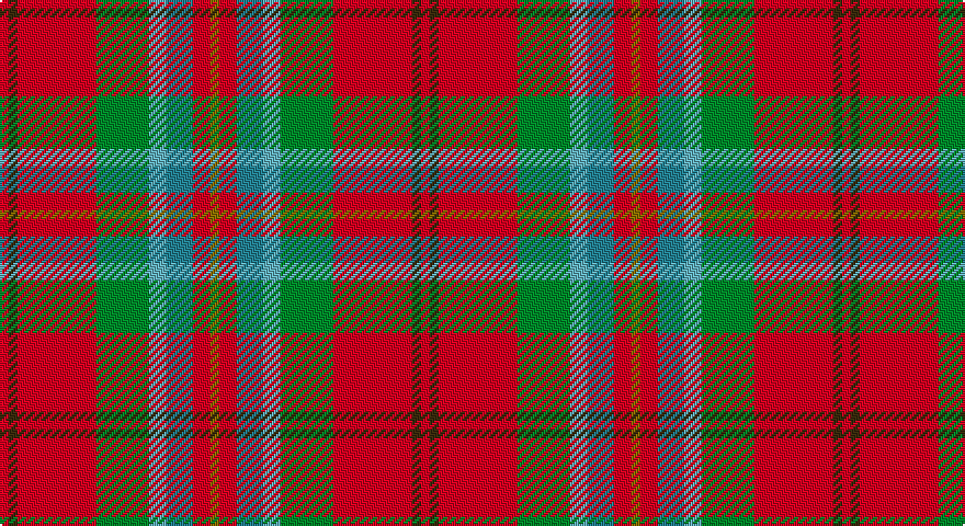 R/4 DY4 R36 G24 LG8 T12 R8 Y/4 tartan