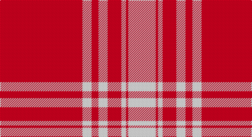 R/144 W16 R12 W16 R24 W8 R4 W/48 tartan