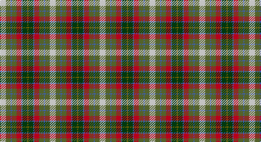 W/10 G8 B2 G8 R8 B2 DG8 Y/2 tartan