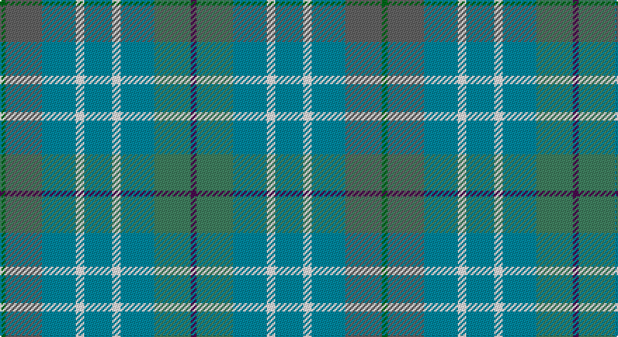 DG/4 N26 T24 W6 T20 W6 T24 G26 DP/4 tartan