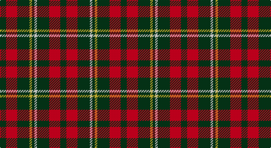 DG/10 R18 DG20 LY4 DG4 W4 DG20 R18 DG/10 tartan